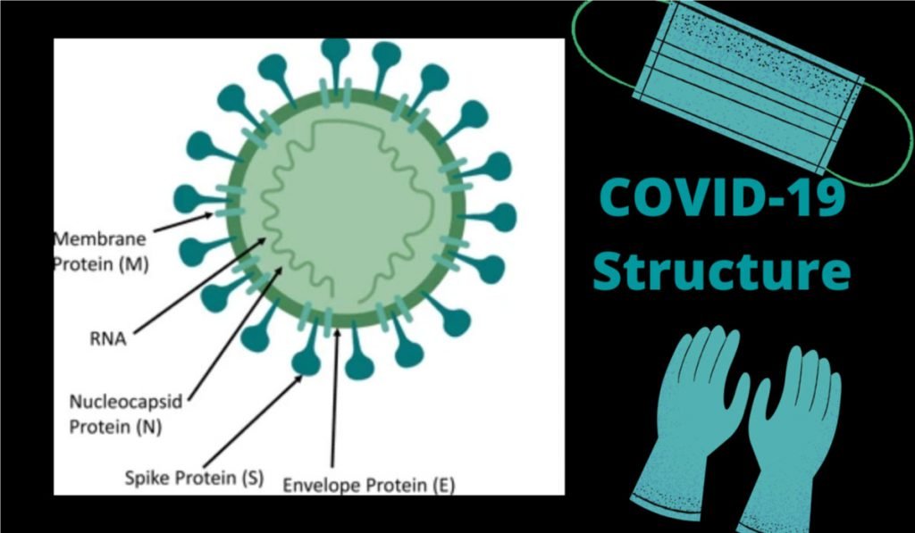 What is Coronavirus